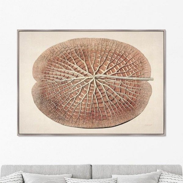 Картина Картины в Квартиру Leaf of a gigantic water lily KVK1-225130789, 75х105 см