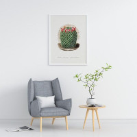 Плакат "34;Просто Постер "34; Кактус Маммиллярия 90x120 в подарочном тубусе 570434530721