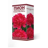 Пион молочноцветковый травянистый «Генерал Мак-Магон» разбор 2-3