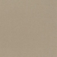 Обои флизелиновые Rasch Florentine II коричневые 0.53 м 449815