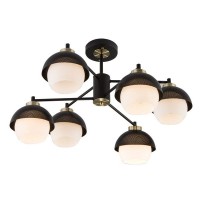Светильник настенно-потолочный Eurosvet Nocciola 70106/6 черный цвет черный