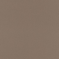 Обои флизелиновые Rasch Seduction 2014 коричневые 0.53 м 796247