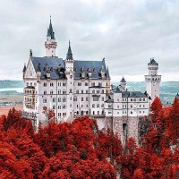 Фотообои Divino Decor Замок C-085 300х270 см