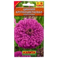 Цинния пурпурная «Крупноцветковая»
