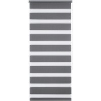 Штора рулонная день-ночь Miamoza Silver 80x160 см, цвет серый