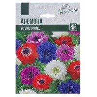 Анемона «Бриджит»