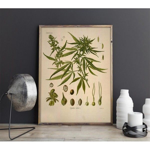 Плакат "34;Просто Постер "34; Марихуана 50x70 в раме 780909805091