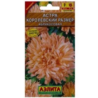 Астра абрикосовая «Королевский размер»