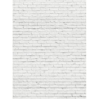Фотообои Divino Decor Кирпичная стена белая C-232 200х270 см