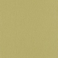 Обои флизелиновые Rasch Patricia 2012 зелёные 0.53 м 763249