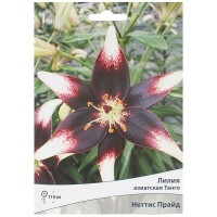 Лилия азиатская Танго «Неттис Прайд»