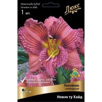 Лилейник гибридный «Нoвэе ту Хайд»