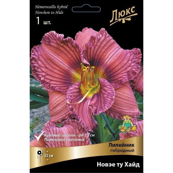 Лилейник гибридный «Нoвэе ту Хайд»