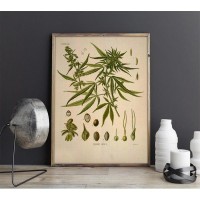 Плакат "34;Просто Постер "34; Марихуана 60x90 в раме 627852427343