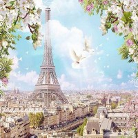 Фотообои Divino Decor Голуби над Парижем H-003 200х270 см