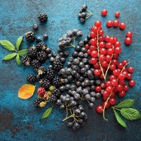 Картина на стекле «Свежие ягоды» 30x30 см