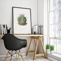 Плакат "34;Просто Постер "34; Кактус Pentacanthus 90x120 в подарочном тубусе 239855177791