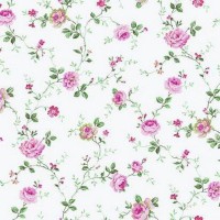Виниловые обои York Wallcoverings розовые PN0411 0.68 м