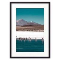 Постер Дом Корлеоне Фламинго на водопое 07-0418-21х30, 21х30 см