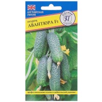 Семена Огурец «Авантюра» F1