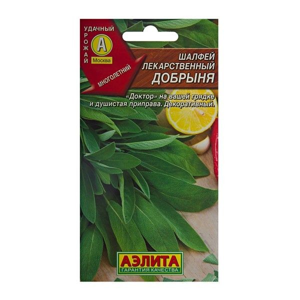 Семена Шалфей лекарственный «Добрыня»