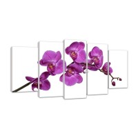 Картина Симфония Орхидея МК-007, 110х50 см