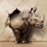 Фотообои Divino Decor Носорог 3D D-102 400х270 см