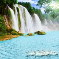Фотообои Divino Decor Гуси у водопада E-050 300х270 см