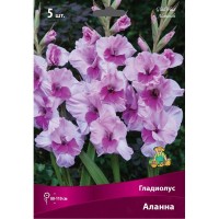 Гладиолус крупноцветковый Аланна луковица 12/14
