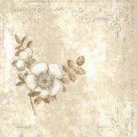 Виниловые обои York Wallcoverings бежевые OP0512 0.68 м