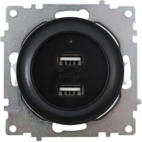 Розетка USB двойная встраиваемая Onekeyelectro, с подсветкой, цвет чёрный