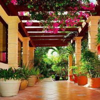 Фотообои Divino Decor Навес с цветами B-009 300х270 см