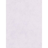 Обои виниловые Verbena 6016-03, 1.06х10.05
