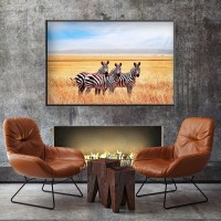 Постер в раме ПростоПостер Три зебры 559494842969, 40х50 см