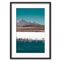 Постер Дом Корлеоне Фламинго на водопое 07-0418-30х40, 30х40 см