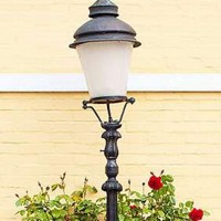 Фотообои Divino Decor Розовый куст C-282 100х270 см
