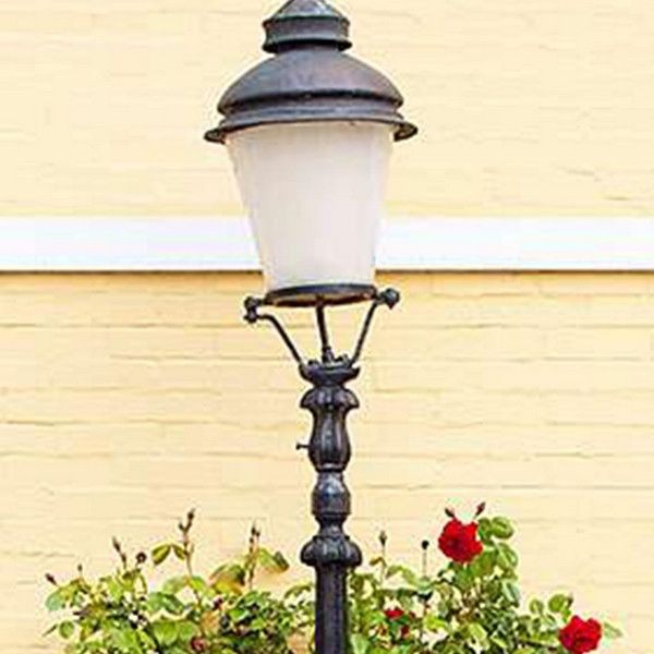 Фотообои Divino Decor Розовый куст C-282 100х270 см