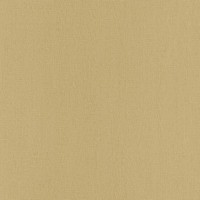 Обои флизелиновые Rasch Easy Passion коричневые 0.53 м 732108