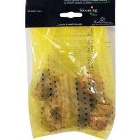 Гладиолус крупноцветковый «Бимбо»