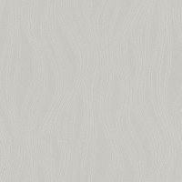 Обои флизелиновые Rasch Maximum XII серые 1.06 м 928426
